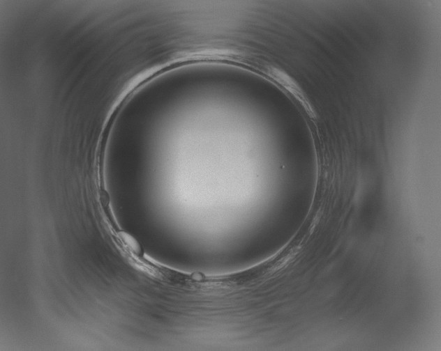 X0000052651436200507011401