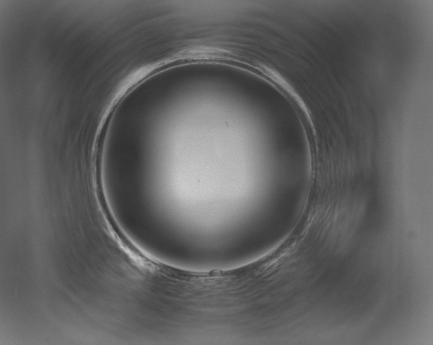 X0000052651437200507011401