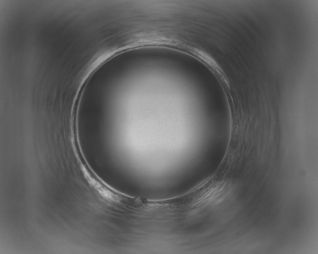 X0000052651439200507011401