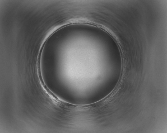 X0000052651440200507011401