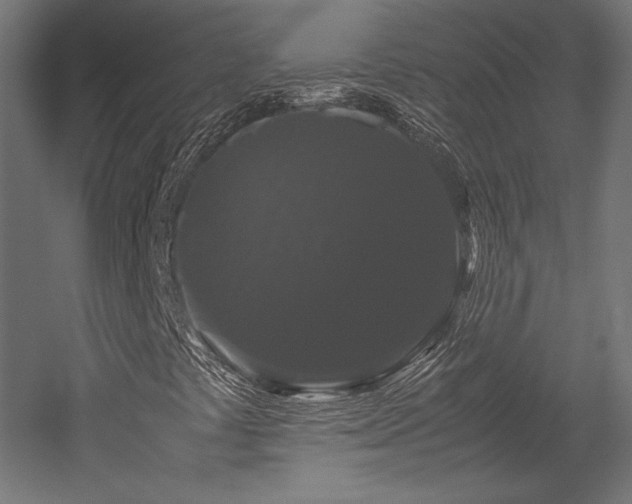 X0000052651441200507011400
