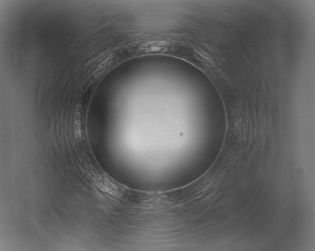 X0000052651442200507011400