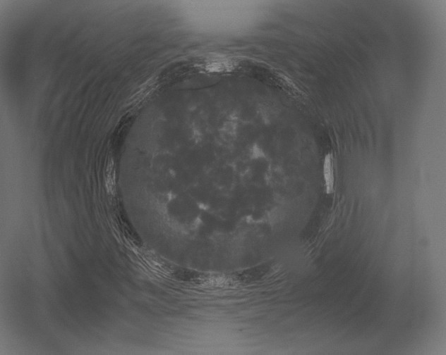 X0000052651443200507011400