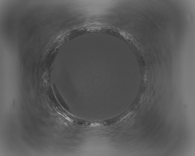 X0000052651445200507011400