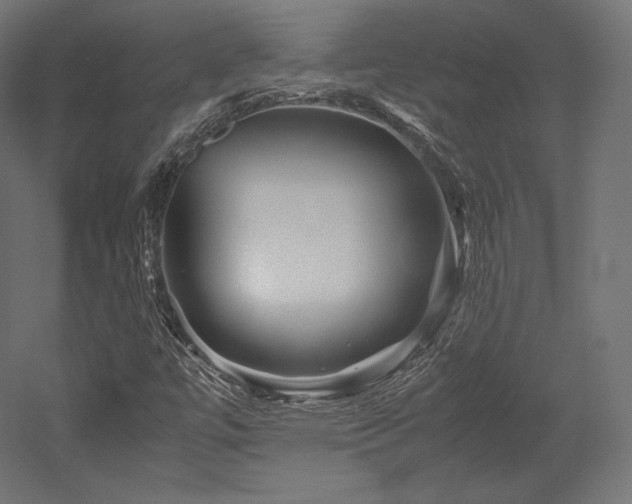 X0000052651447200507011400