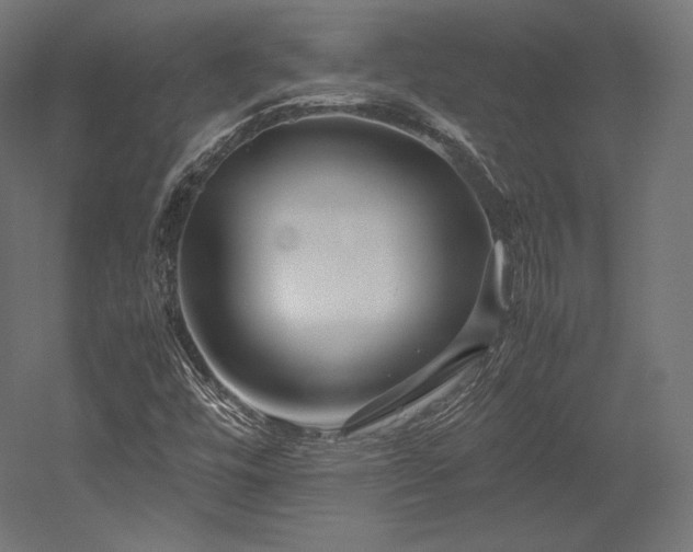 X0000052651448200507011400