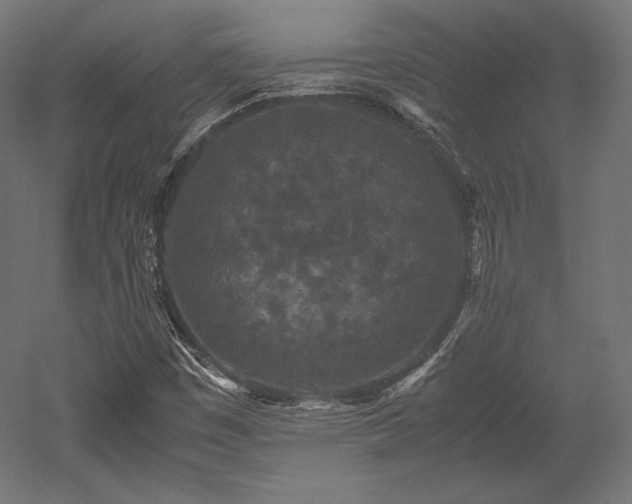 X0000052651449200507011400