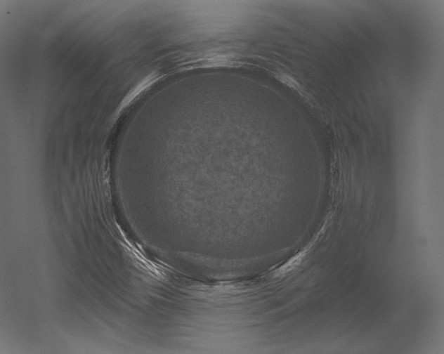 X0000052651450200507011400