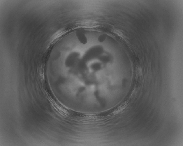 X0000052651451200507011400