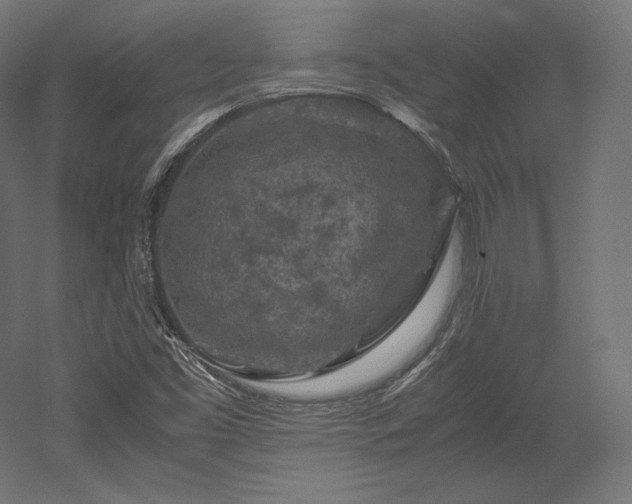 X0000052651453200507011400