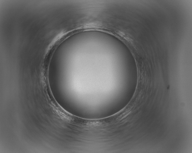 X0000052651454200507011400
