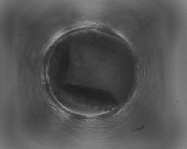 X0000052651455200507011400