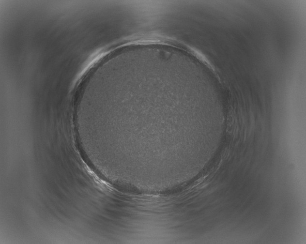 X0000052651456200507011400