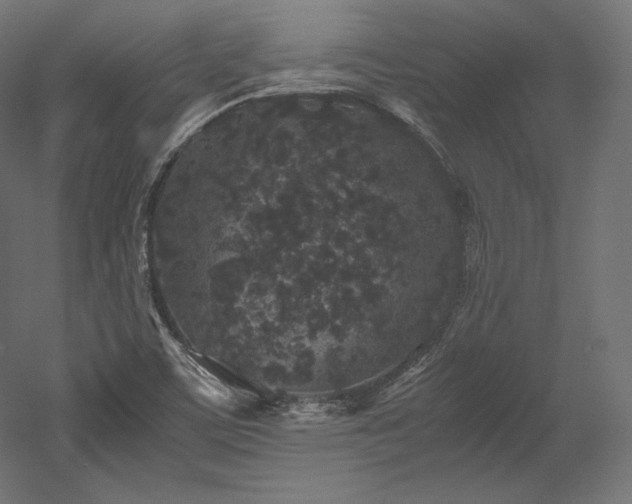 X0000052651459200507011400