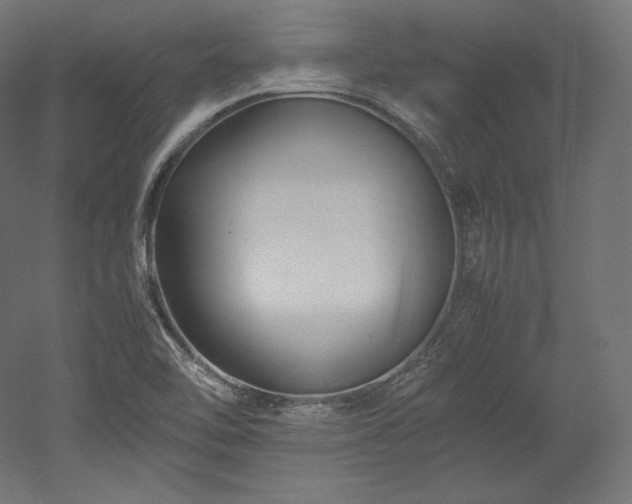 X0000052651462200507011400