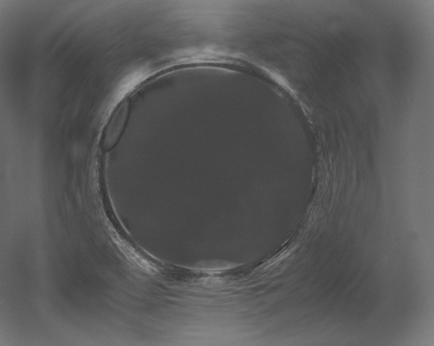 X0000052651463200507011400