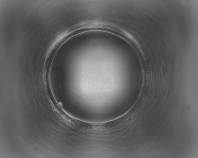 X0000052651464200507011400