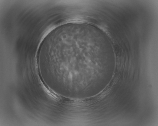 X0000052651466200507011400