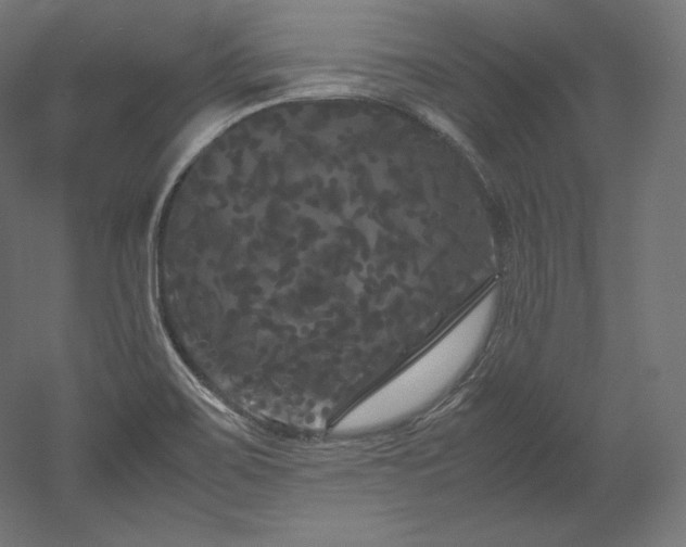 X0000052651467200507011359