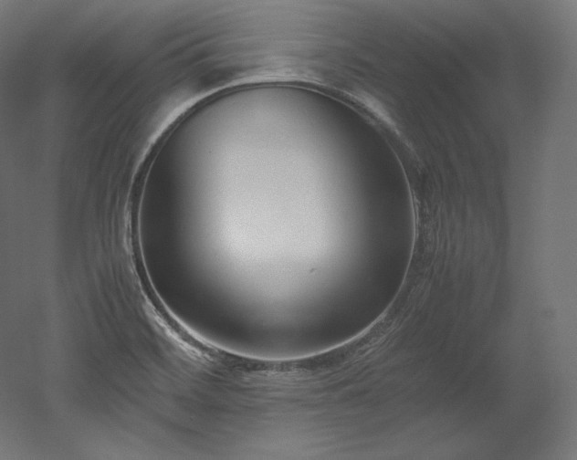 X0000052651468200507011359