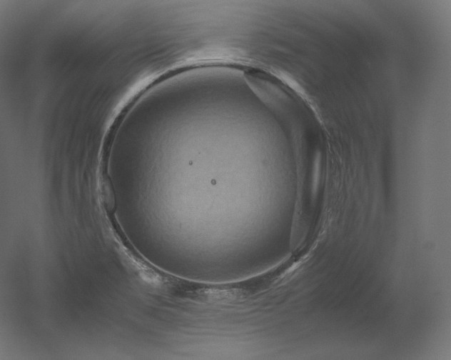 X0000052651469200507011359