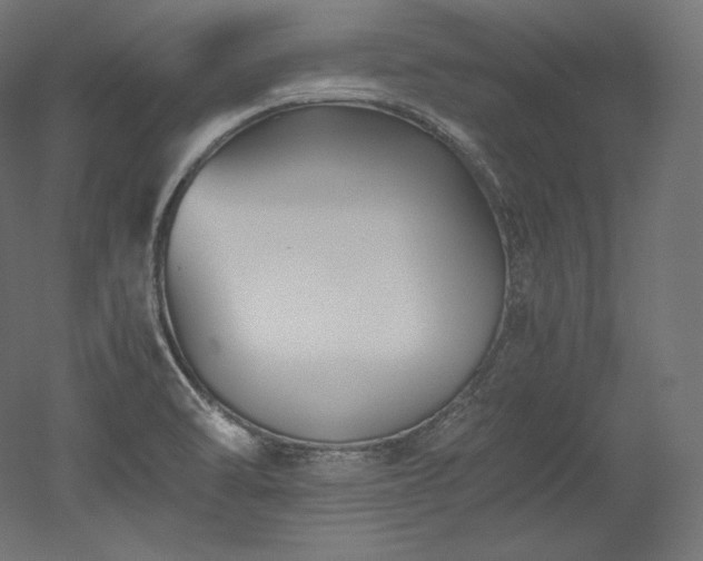 X0000052651470200507011359