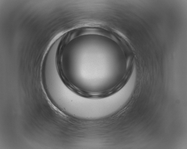 X0000052651471200507011359