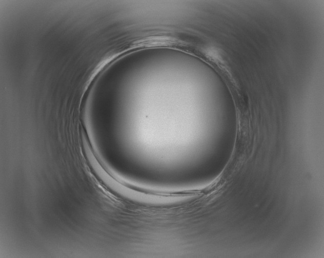X0000052651473200507011359