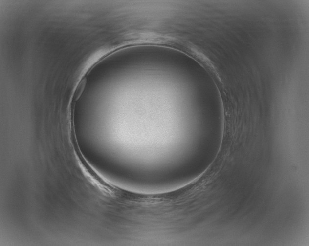 X0000052651479200507011359