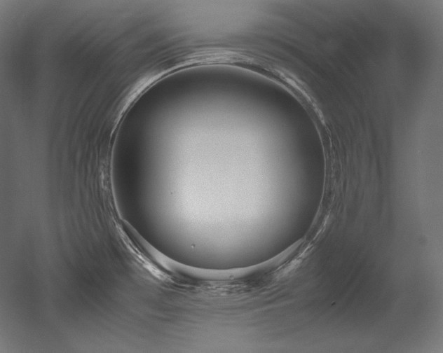 X0000052651481200507011359