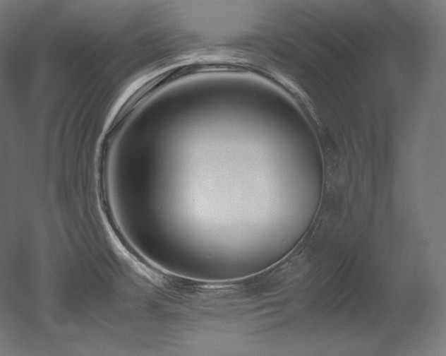 X0000052651483200507011359