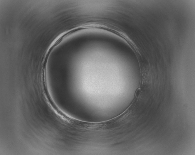 X0000052651484200507011359