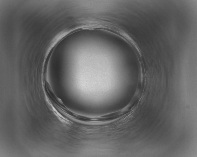 X0000052651485200507011359