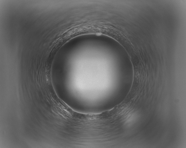 X0000052651490200507011358