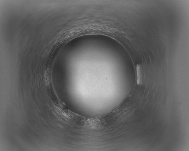 X0000052651491200507011358