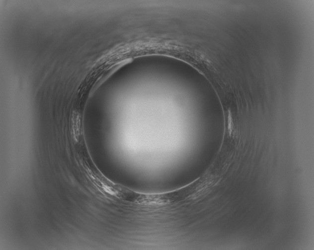 X0000052651492200507011358
