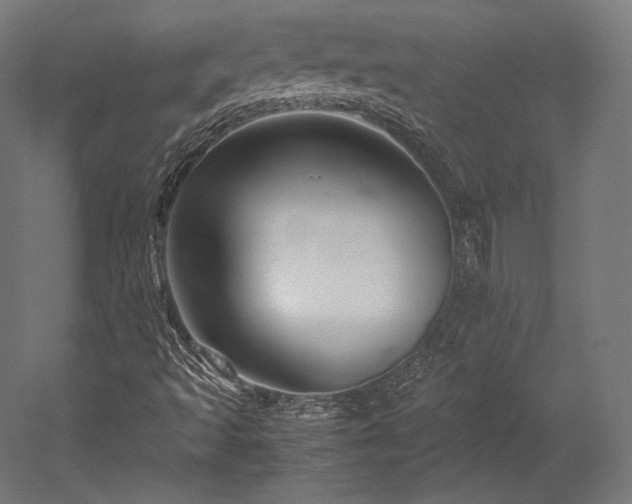 X0000052651493200507011358