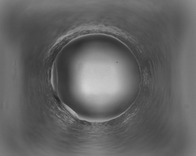 X0000052651494200507011358