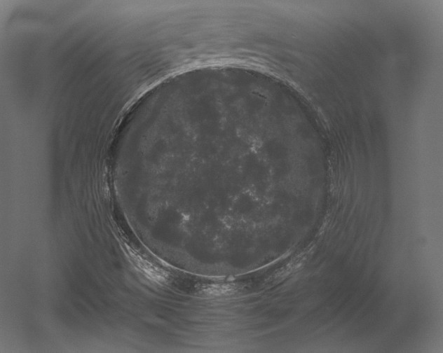 X0000052651497200507011358