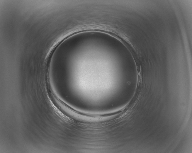 X0000052651500200507011359