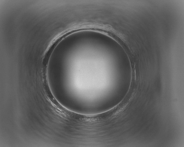 X0000052651501200507011359