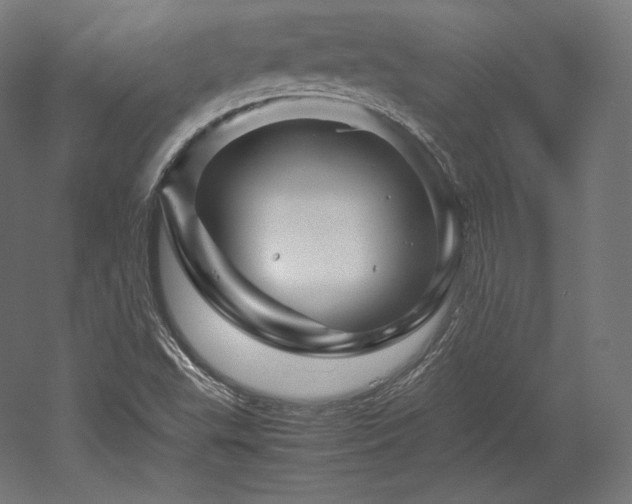 X0000052651503200507011359