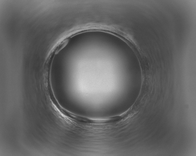 X0000052651504200507011359