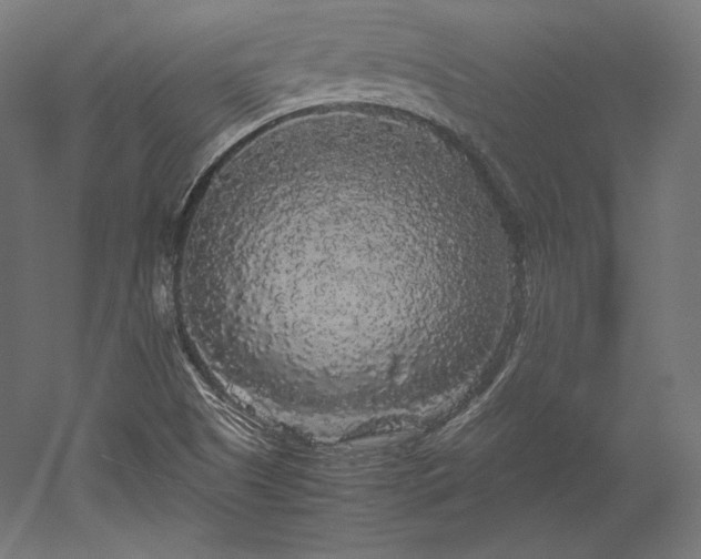 X0000052651505200507011359