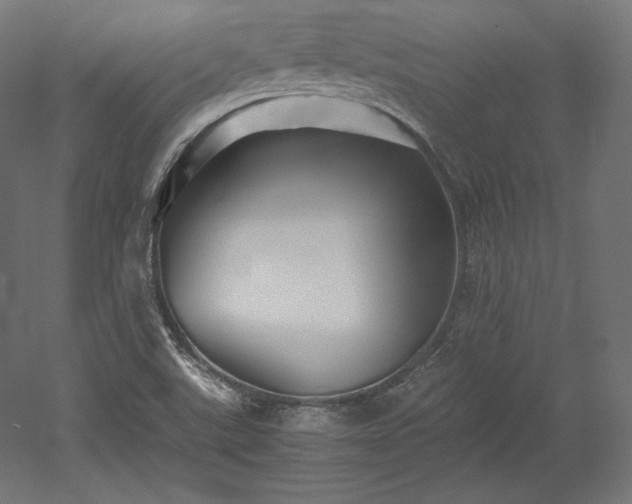 X0000052651507200507011359