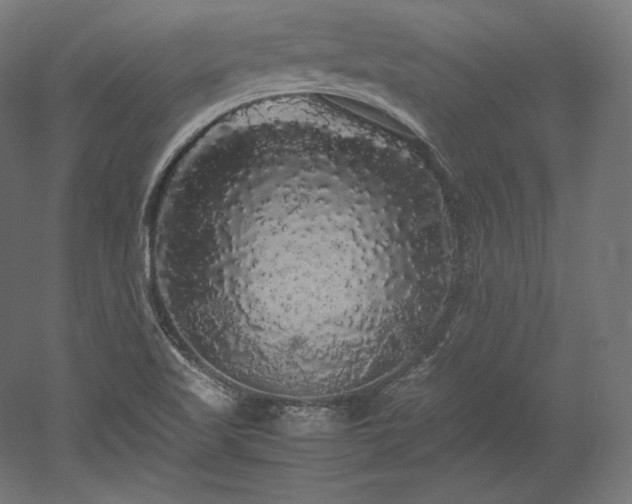 X0000052651509200507011359