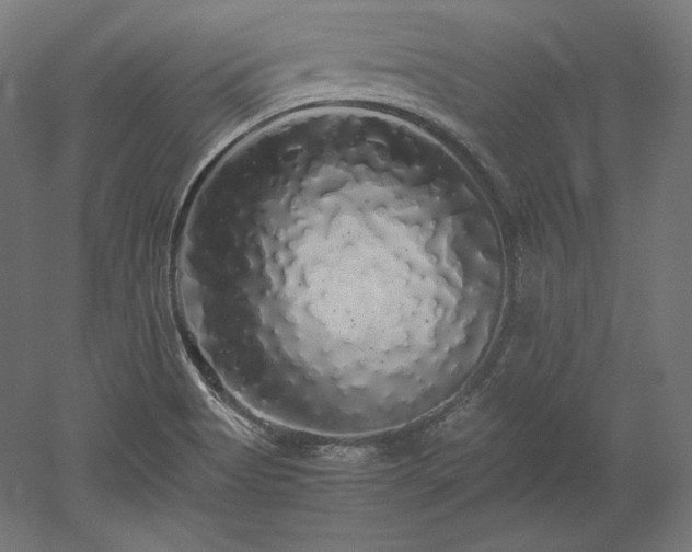 X0000052651513200507011359