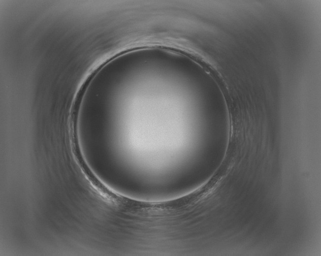 X0000052651517200507011359