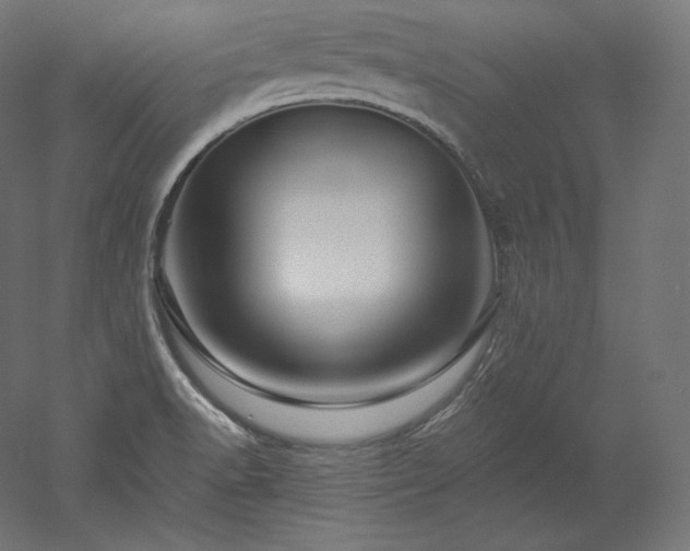 X0000052651518200507011359