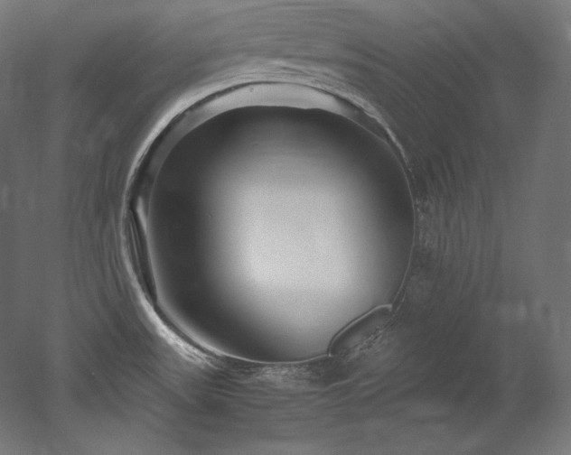 X0000052651531200507011359